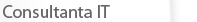 Consultanta IT